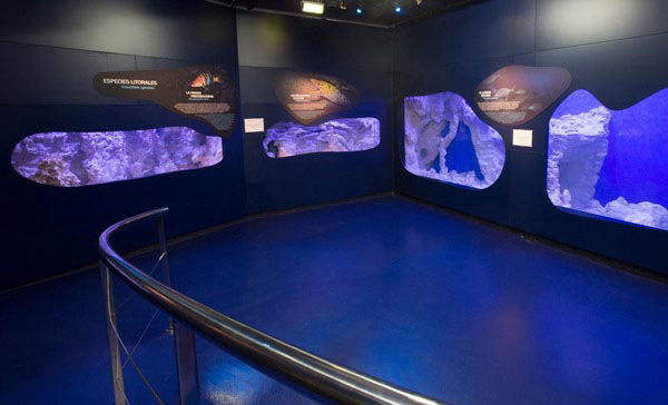 Audioguia del Centro de Interpretación del Mar - aquarium