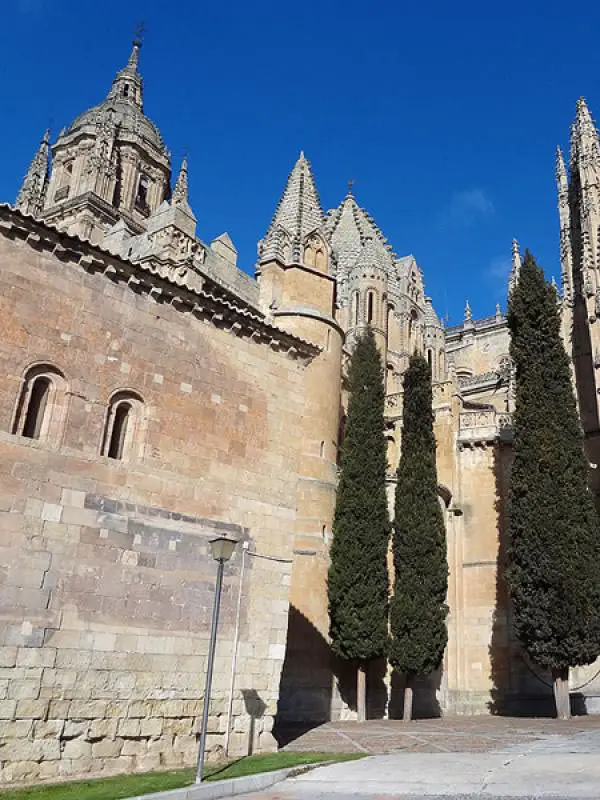 Visita a Salamanca - Catedral Vieja