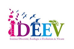 Audioguias IDEEV